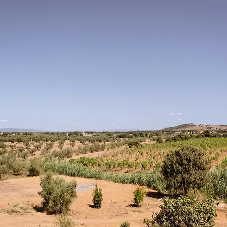 Bio Podere 109 - Wine&food * Alberese