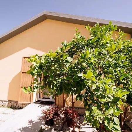 Podere 109 - Biowine *