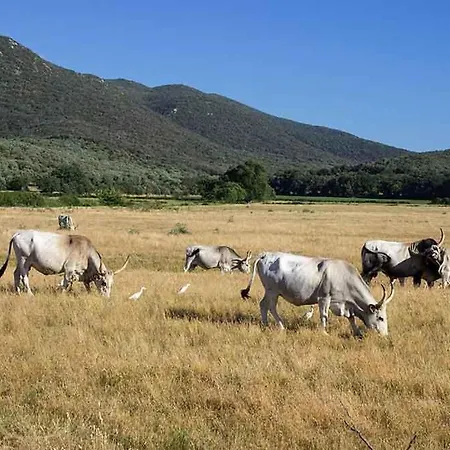 Podere 109 - Biowine * Alberese