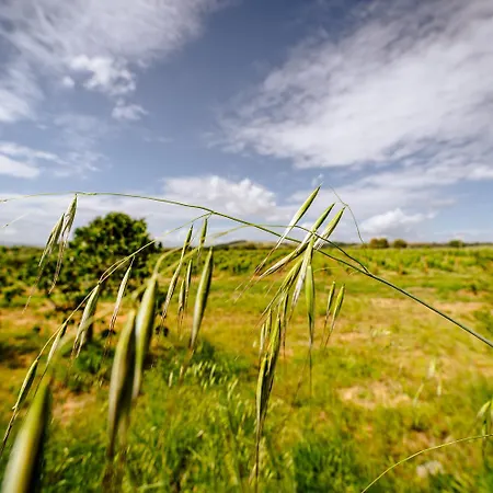 Vakantieboerderij Podere 109 - Biowine