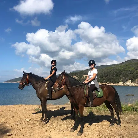 Podere 109 - Biowine Vakantieboerderij *