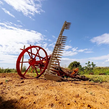 Podere 109 - Biowine Vakantieboerderij *