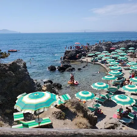 Podere 109 - Biowine Alberese