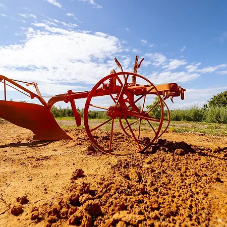 Vakantieboerderij Podere 109 - Biowine Alberese