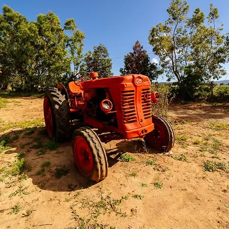 Podere 109 - Biowine Vakantieboerderij *