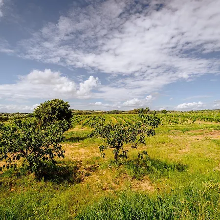 Vakantieboerderij Podere 109 - Biowine