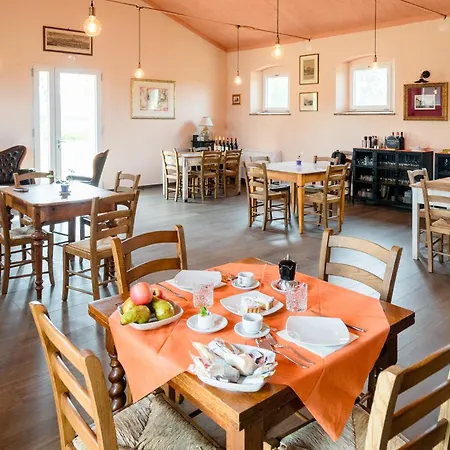 Farm stay Bio Podere 109 - Wine&food