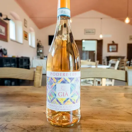 Farm stay Bio Podere 109 - Wine&food Alberese