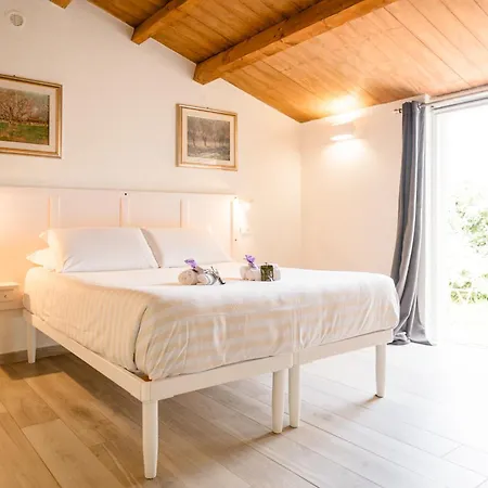 Podere 109 - Biowine Alberese