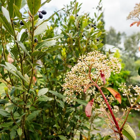 Podere 109 - Biowine * Alberese