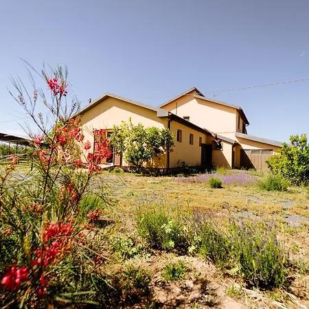 Bio Podere 109 - Wine&food Farm stay