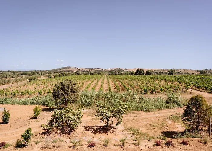 Podere 109 - Biowine Gospodarstwo agroturystyczne Alberese