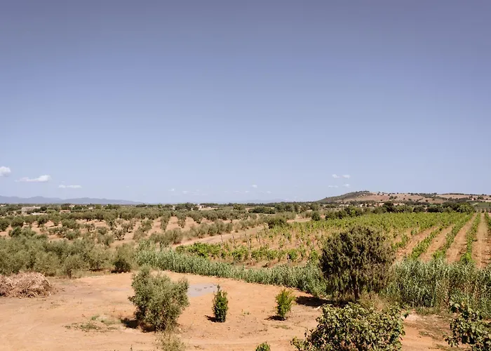 Podere 109 - Biowine * Alberese