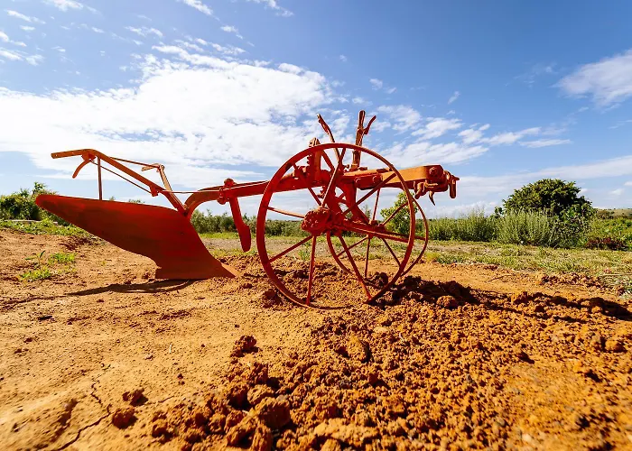 Gospodarstwo agroturystyczne Podere 109 - Biowine Alberese