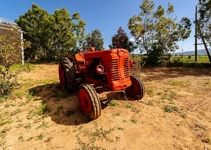Podere 109 - Biowine Gospodarstwo agroturystyczne *