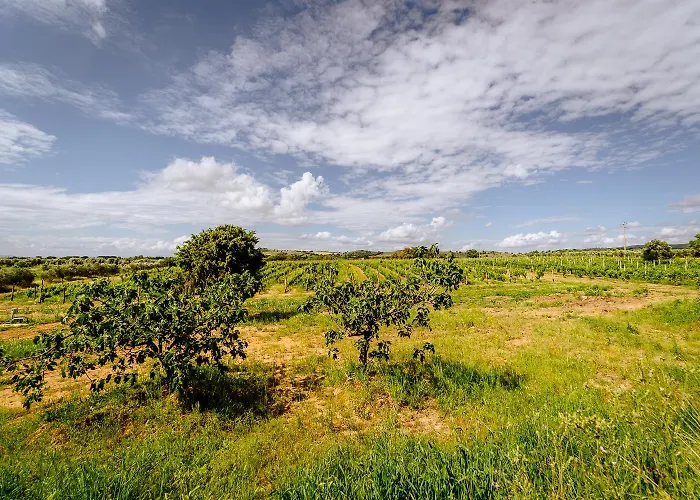 Gospodarstwo agroturystyczne Podere 109 - Biowine