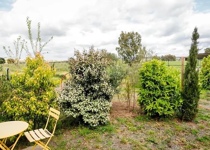 Podere 109 - Biowine Gospodarstwo agroturystyczne